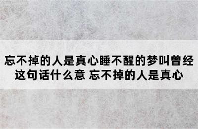 忘不掉的人是真心睡不醒的梦叫曾经这句话什么意 忘不掉的人是真心